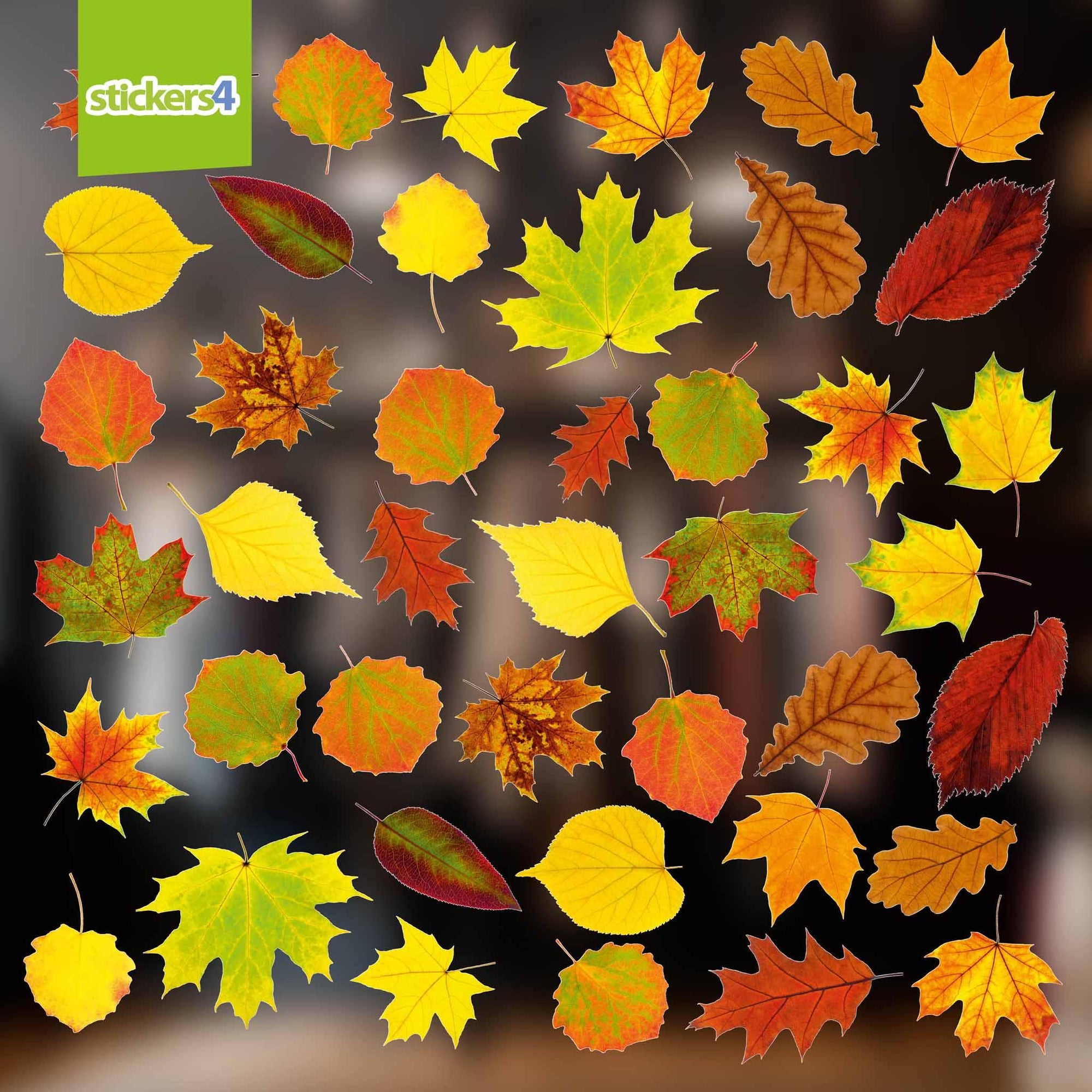 Photorealistic Autumn Leaves Shop Window Stickers - Pack 2 Autumn Window Display