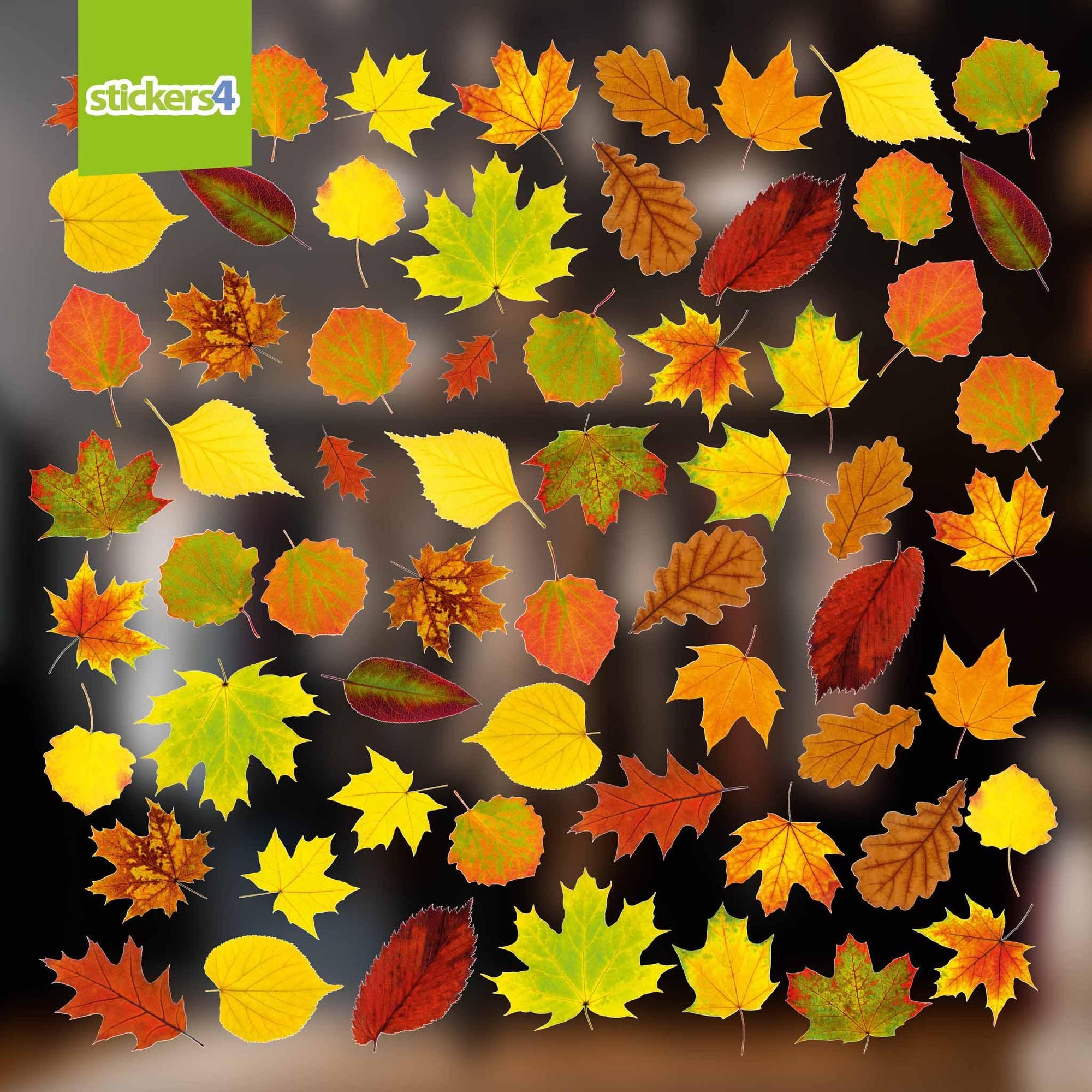 Photorealistic Autumn Leaves Shop Window Stickers - Pack 3 Autumn Window Display