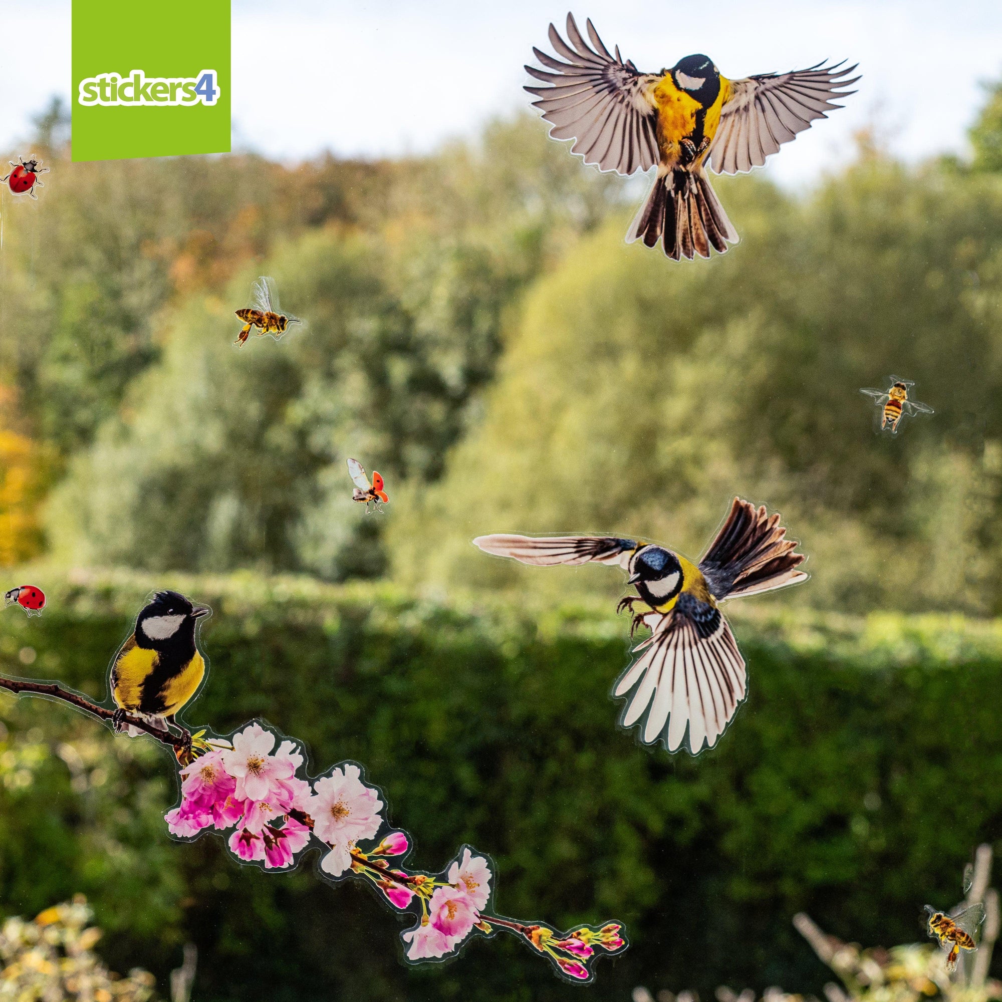 Birds & Bees with Blossom Branch (Small Set) Decorative Bird Strike Prevention