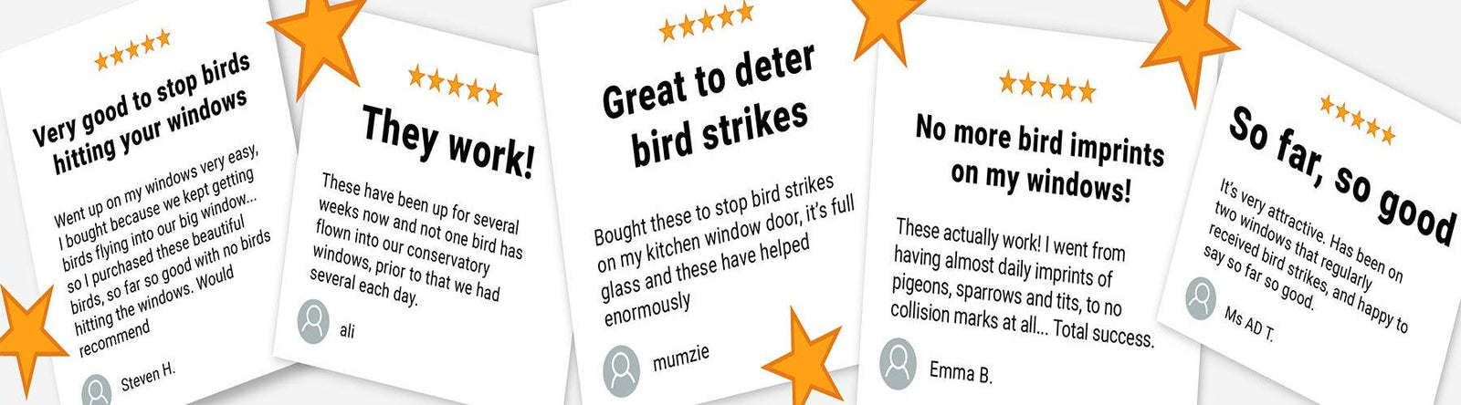 How to Stop Birds from Flying into Windows