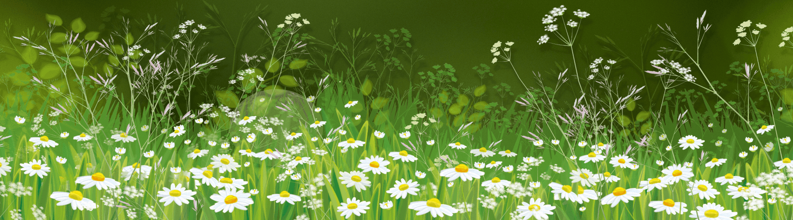 Going Greener… doing our bit for the environment