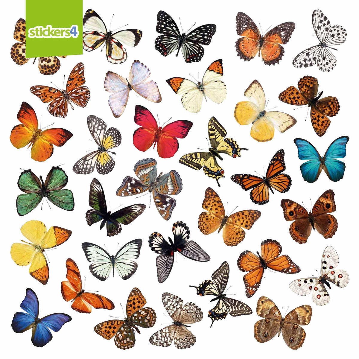 32 Photorealistic Butterfly Cling Window Stickers - Medium Size Decorative Bird Strike Prevention