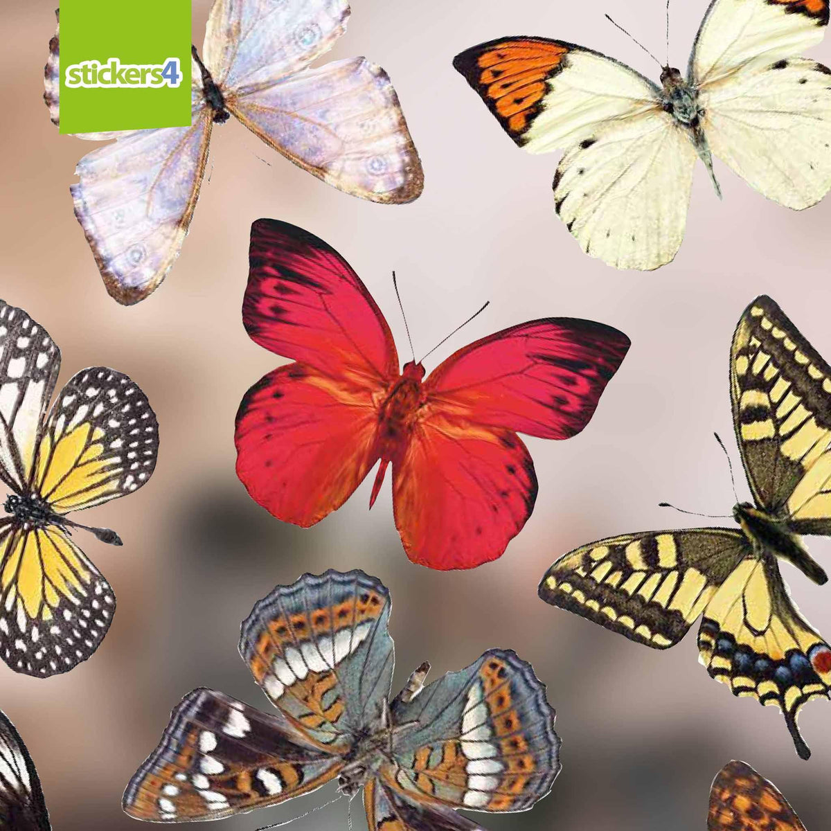 32 Photorealistic Butterfly Cling Window Stickers - Medium Size Decorative Bird Strike Prevention