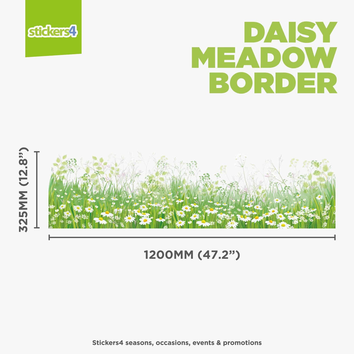 Daisy Meadow Border