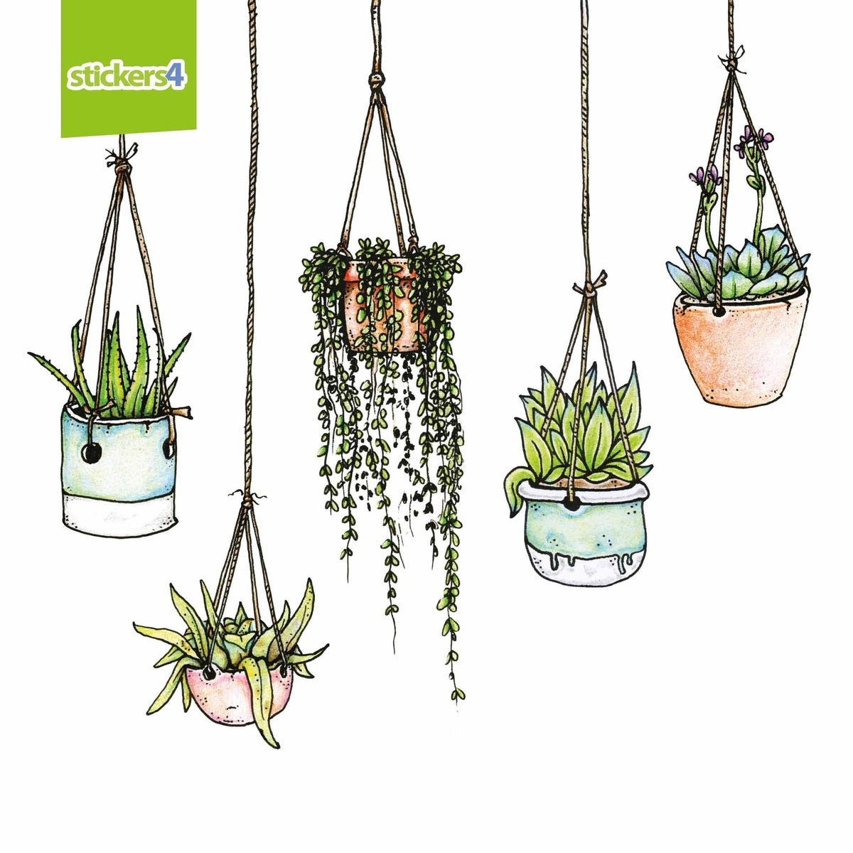 Original Set of 5 Illustrated Hanging Plant Stickers4 Window or Laptop Decorative Window Displays