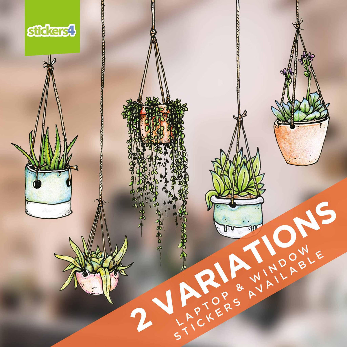 Original Set of 5 Illustrated Hanging Plant Stickers4 Window or Laptop Decorative Window Displays