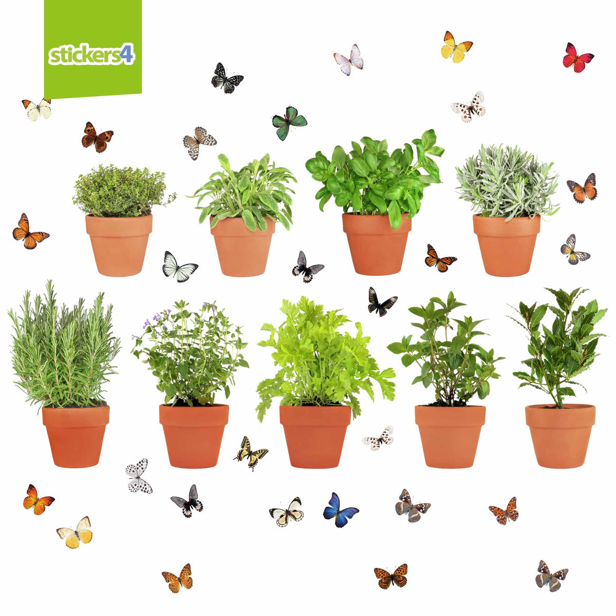 Herbs in Pots with 30 FREE Butterflies