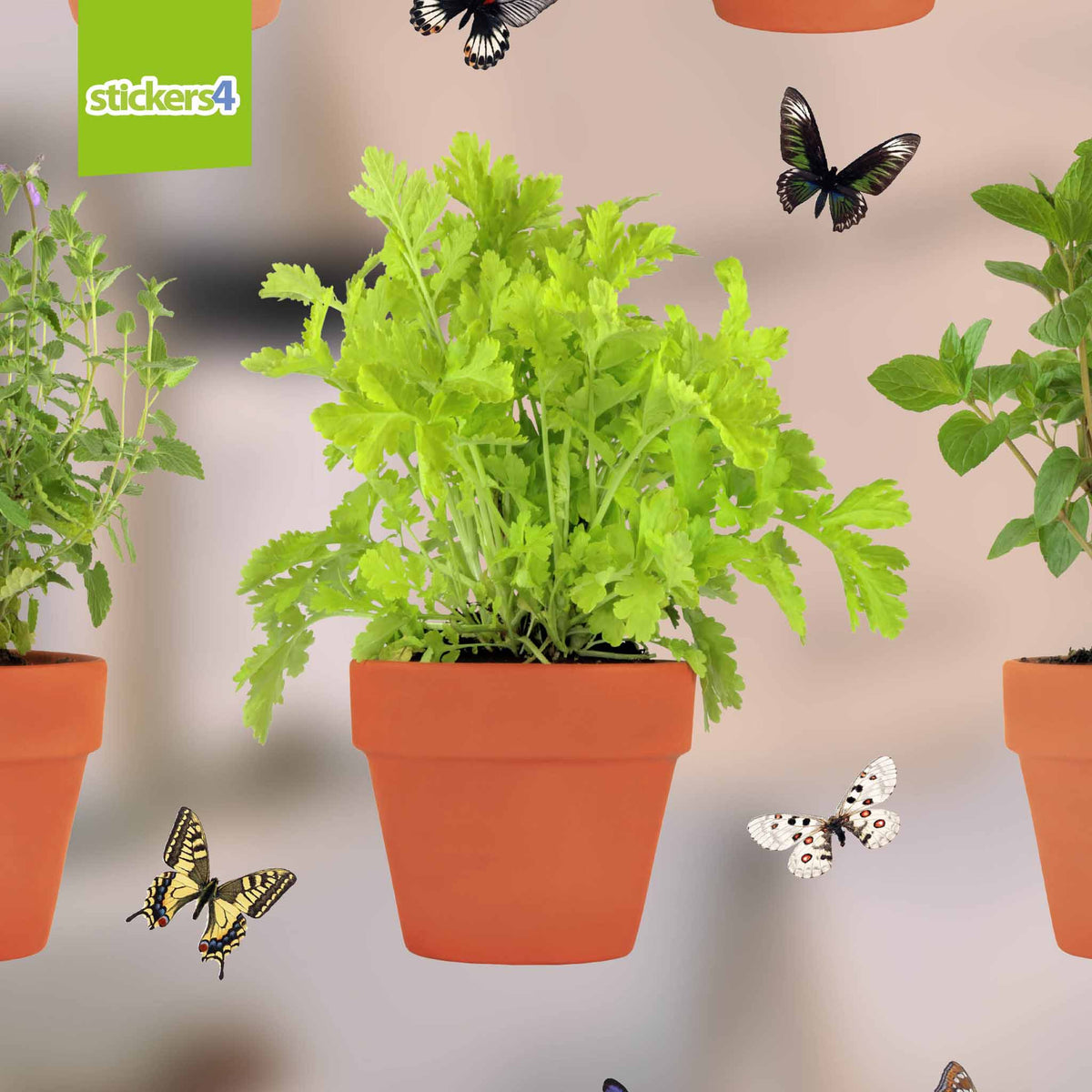 Herbs in Pots with 30 FREE Butterflies