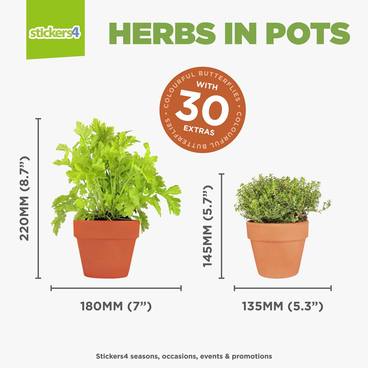 Herbs in Pots with 30 FREE Butterflies