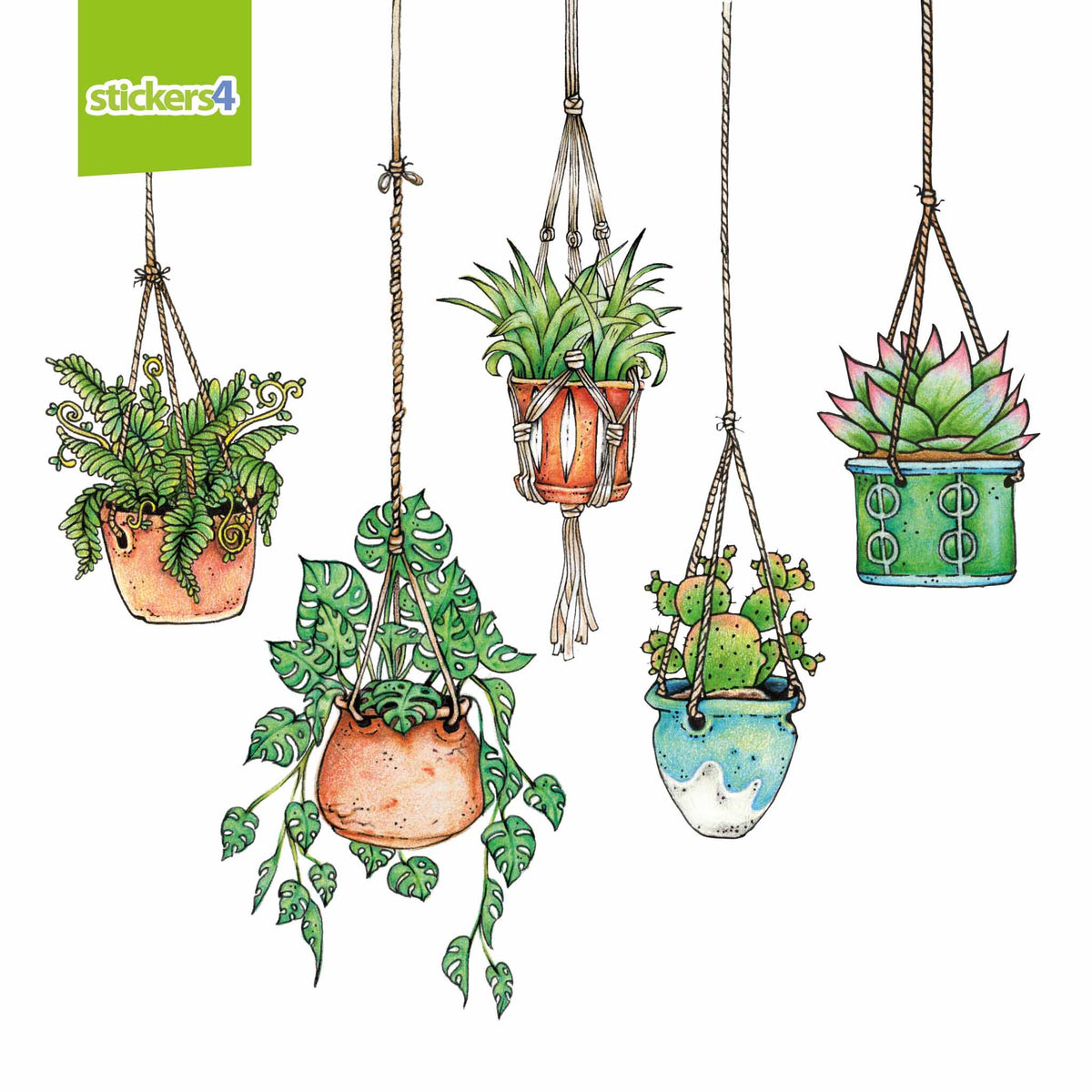 New Mk2 Version Set of 5 Illustrated Hanging Plant Stickers4 Window or Laptop