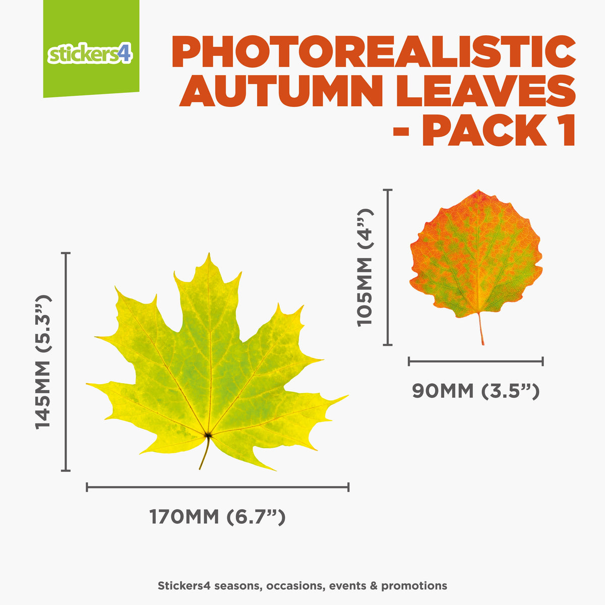 Photorealistic Autumn Leaves Shop Window Stickers - Pack 1