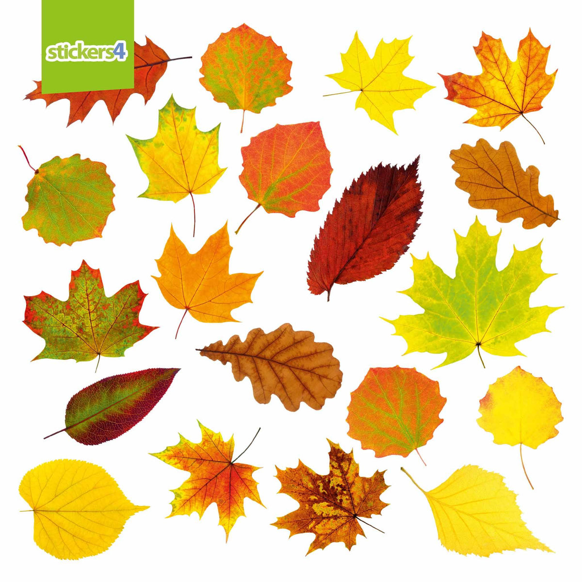 Photorealistic Autumn Leaves Shop Window Stickers - Pack 1 Autumn Window Display