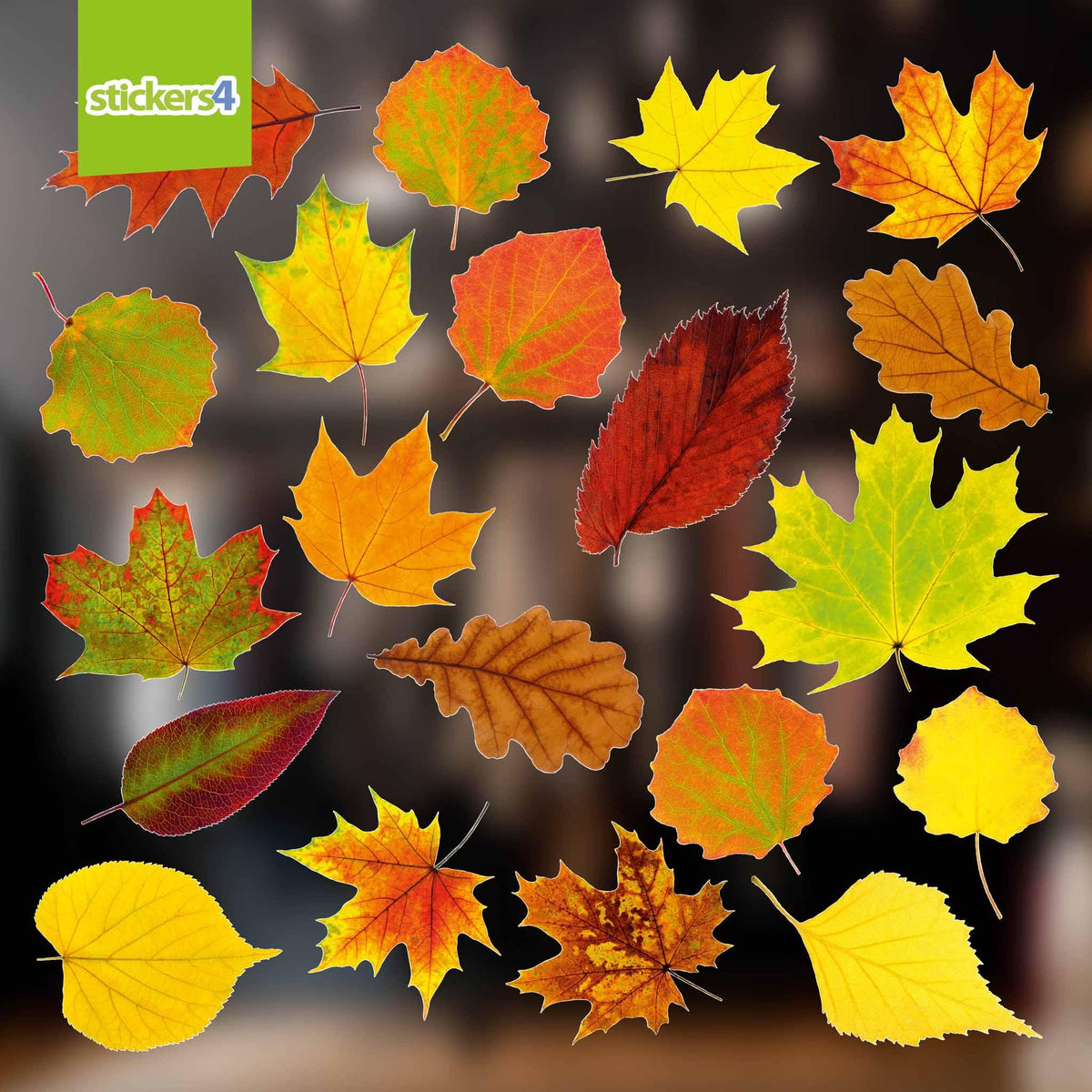 Photorealistic Autumn Leaves Shop Window Stickers - Pack 1 Autumn Window Display