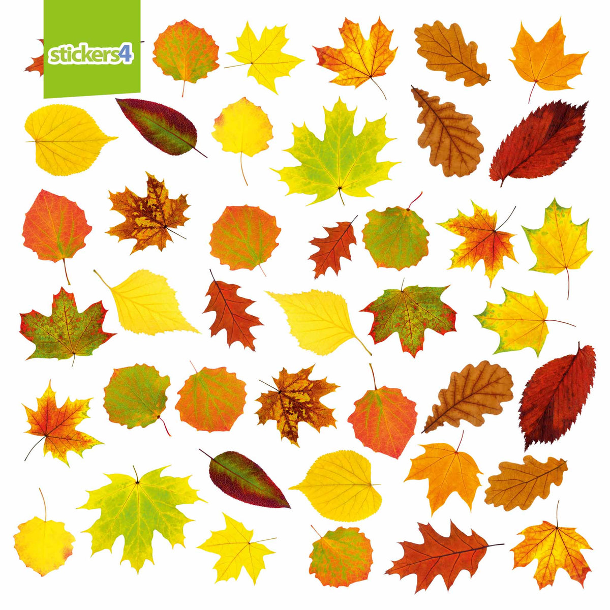 Photorealistic Autumn Leaves Shop Window Stickers - Pack 2