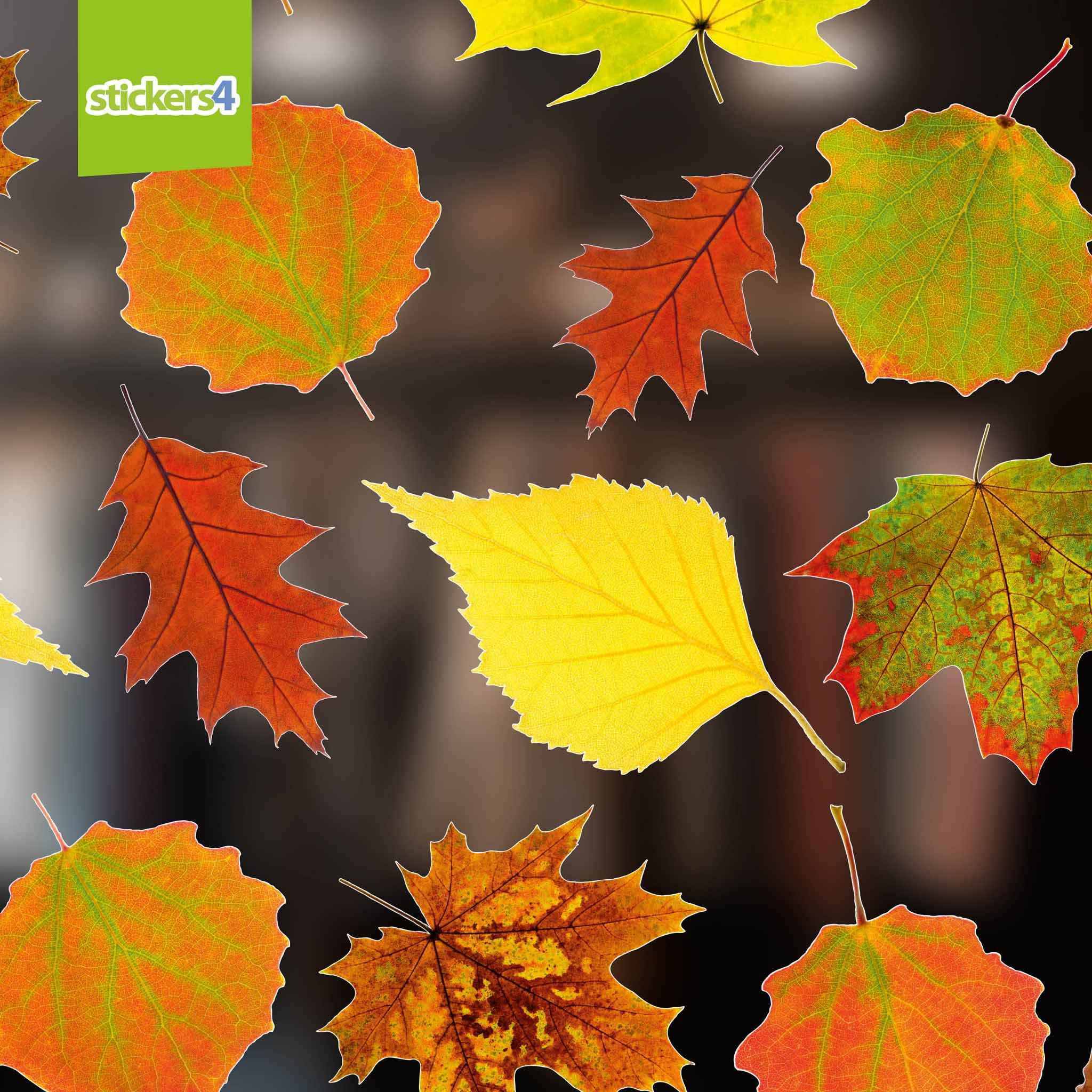 42 Photorealisitic Autumn Leaves Window Decals | Stickers4