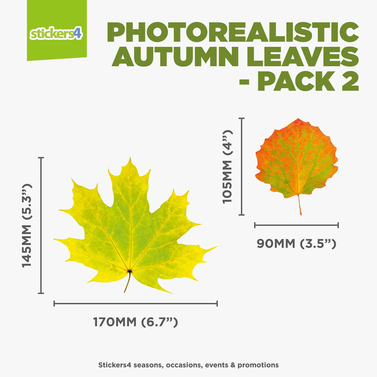 Photorealistic Autumn Leaves Shop Window Stickers - Pack 2