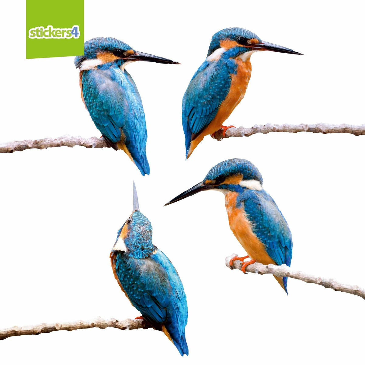 Set of 4 Kingfisher Window Stickers Decorative Bird Strike Prevention