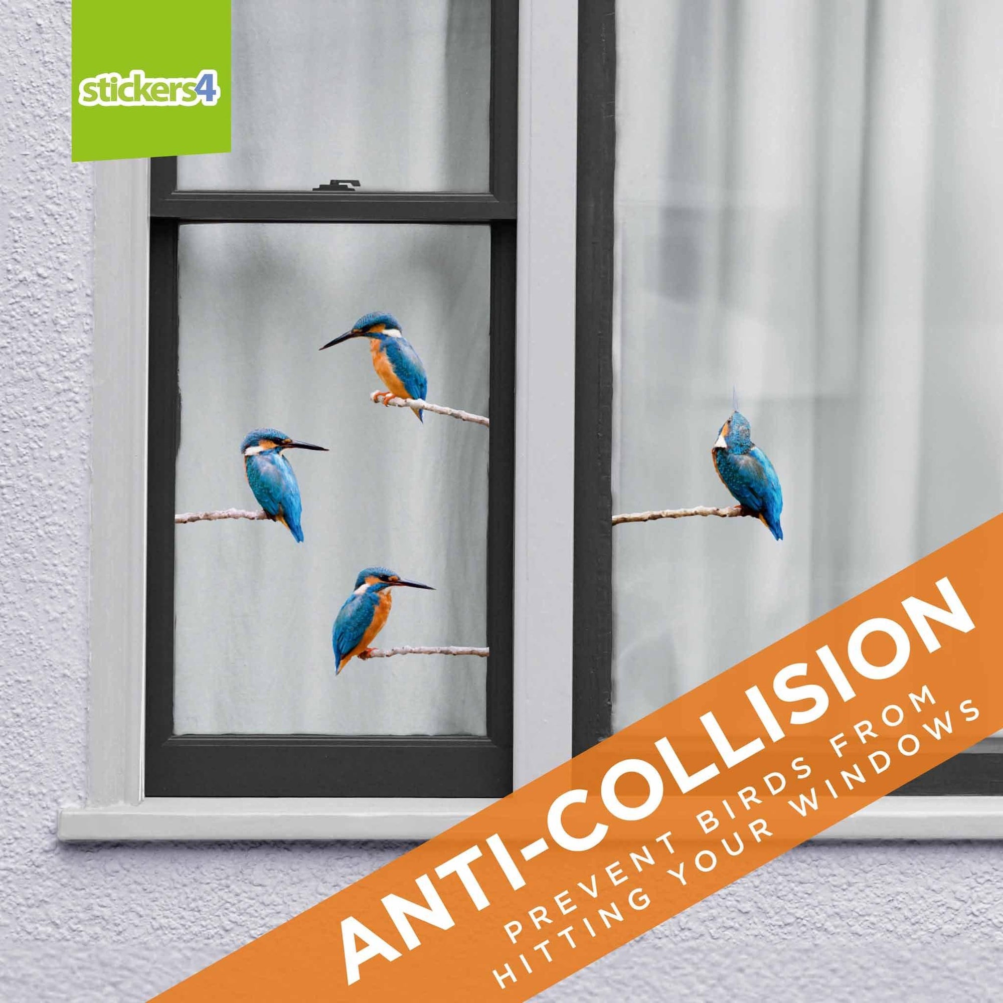 Set of 4 Kingfisher Window Stickers Decorative Bird Strike Prevention