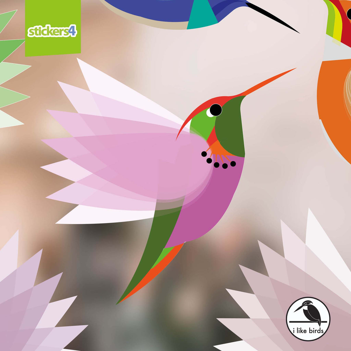I Like Birds - Exotic Hummingbirds, Set of 8 Large