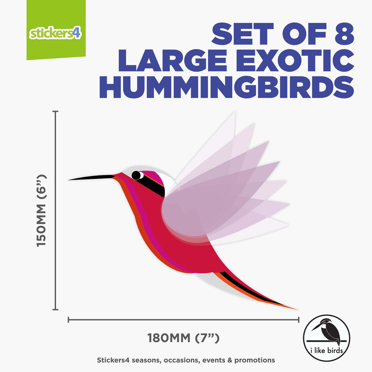 I Like Birds - Exotic Hummingbirds, Set of 8 Large
