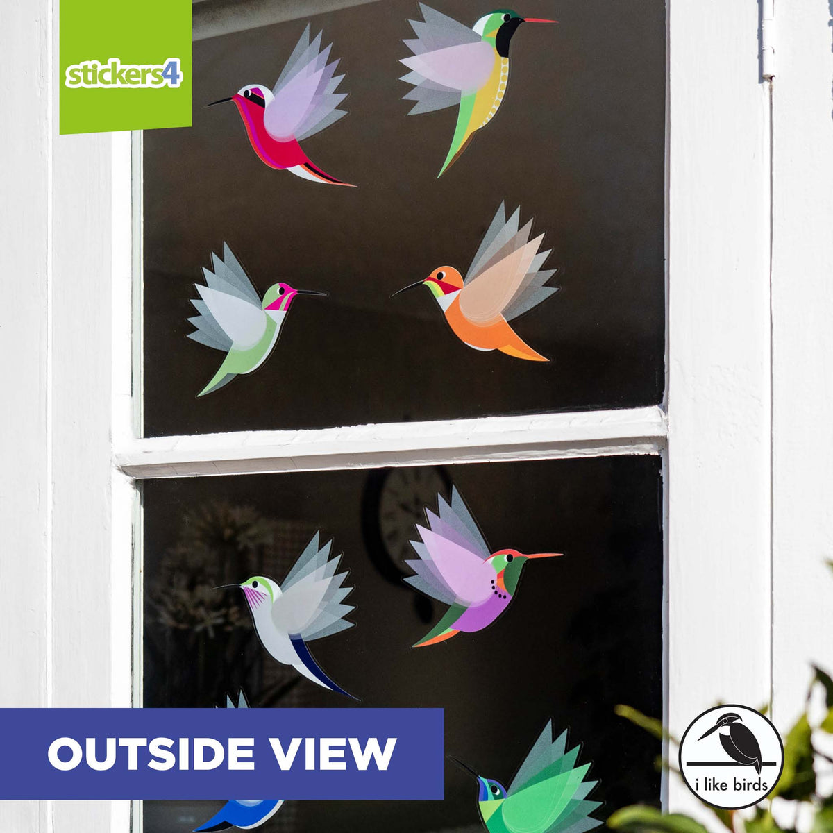 I Like Birds - Exotic Hummingbirds, Set of 8 Large