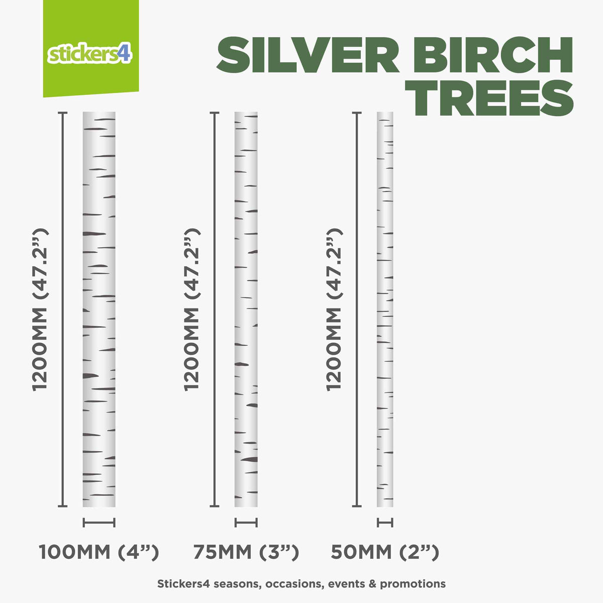 Silver Birch Trees Window Stickers