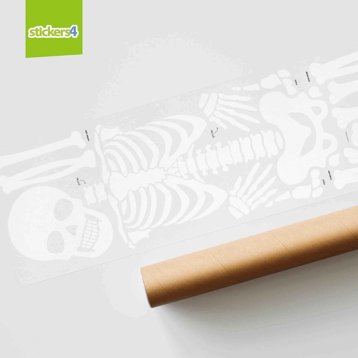 Skeleton Parts Sticker Large Posable Skeleton Window Sticker | Separate Parts
