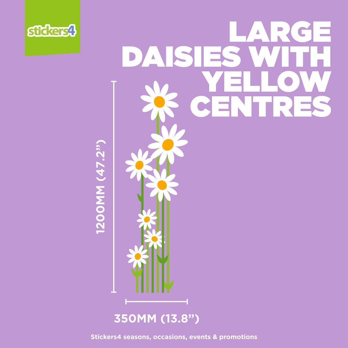 Standard Daisies with Stems Window Sticker