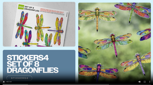 Dragonfly Window Stickers Product Overview Video
