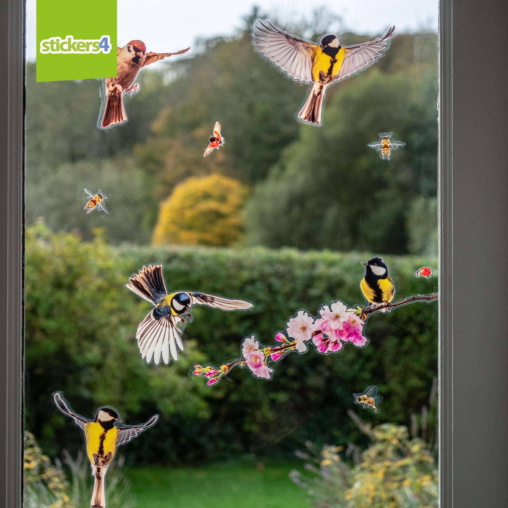Birds & Bees with Blossom Branches (Large Set) Decorative Bird Strike Prevention
