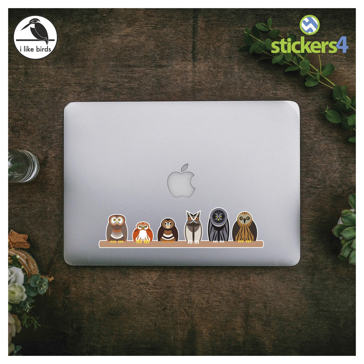 Bird Collection #1 Laptop Sticker Set I Like Birds