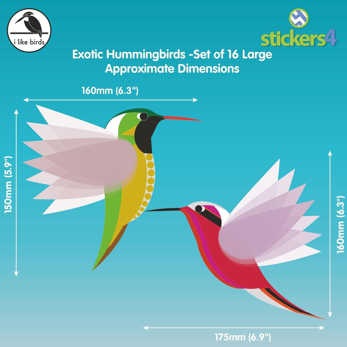 I Like Birds - Exotic Hummingbirds, Set of 16 Large Decorative Bird Strike Prevention