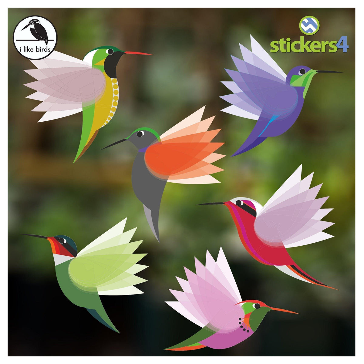 I Like Birds - Exotic Hummingbirds, Set of 6 Small Decorative Bird Strike Prevention