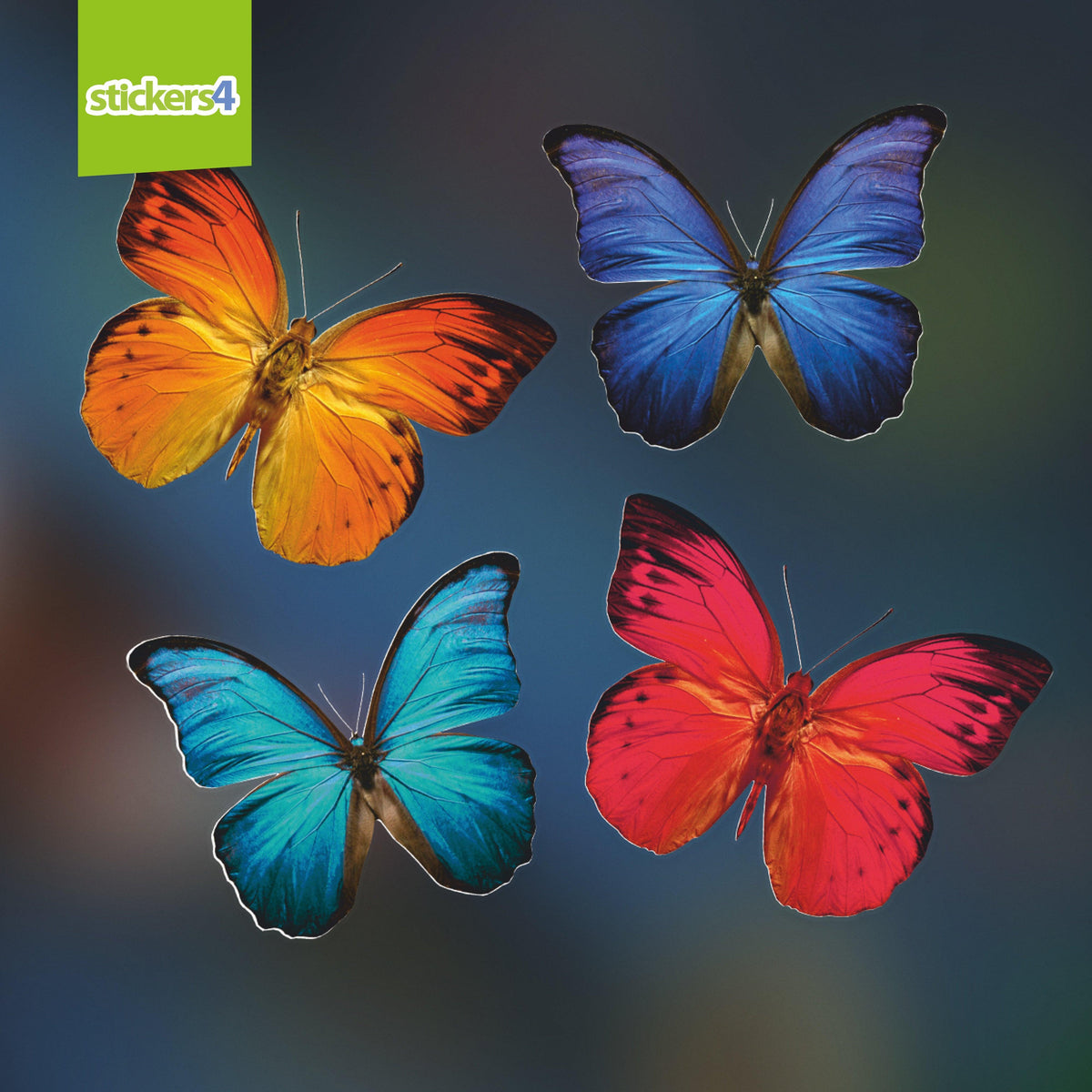 Large Colourful Butterfly Static Cling Window Stickers Decorative Bird Strike Prevention