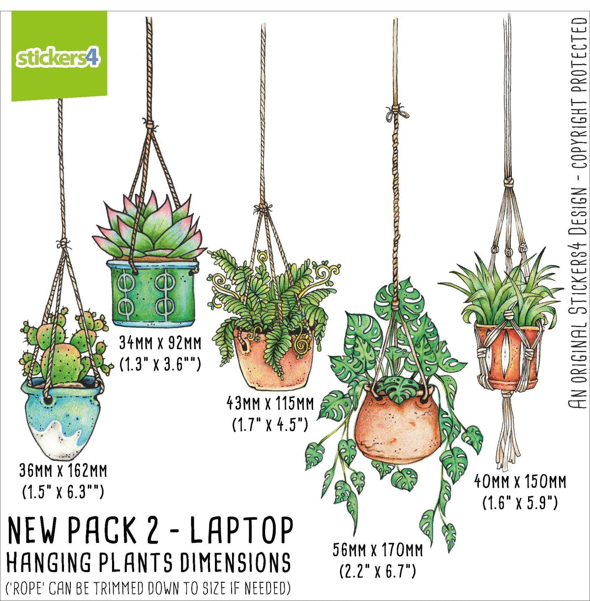 NEW VERSION Set of 5 Illustrated Hanging Plant Laptop Stickers Laptop Sticker