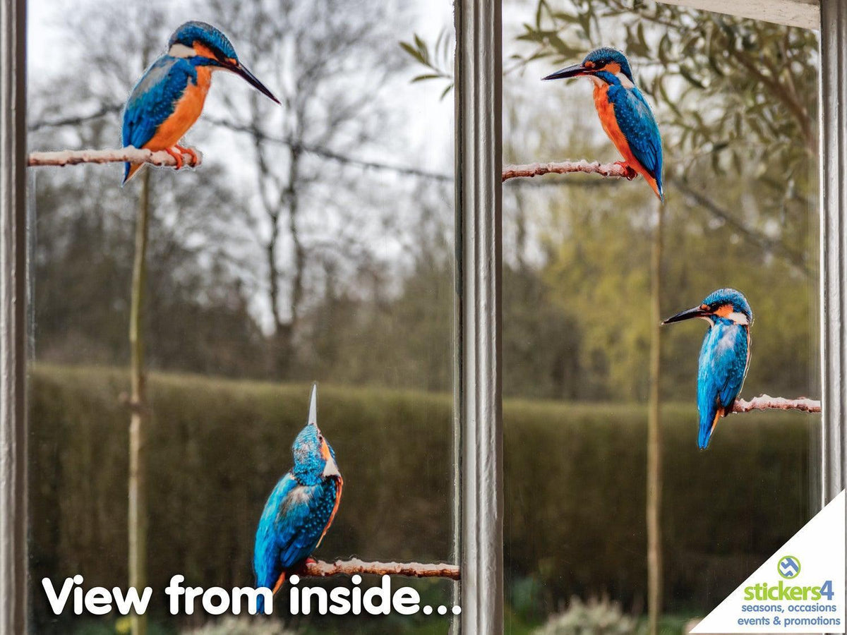 Set of 4 Kingfisher Window Stickers Decorative Bird Strike Prevention