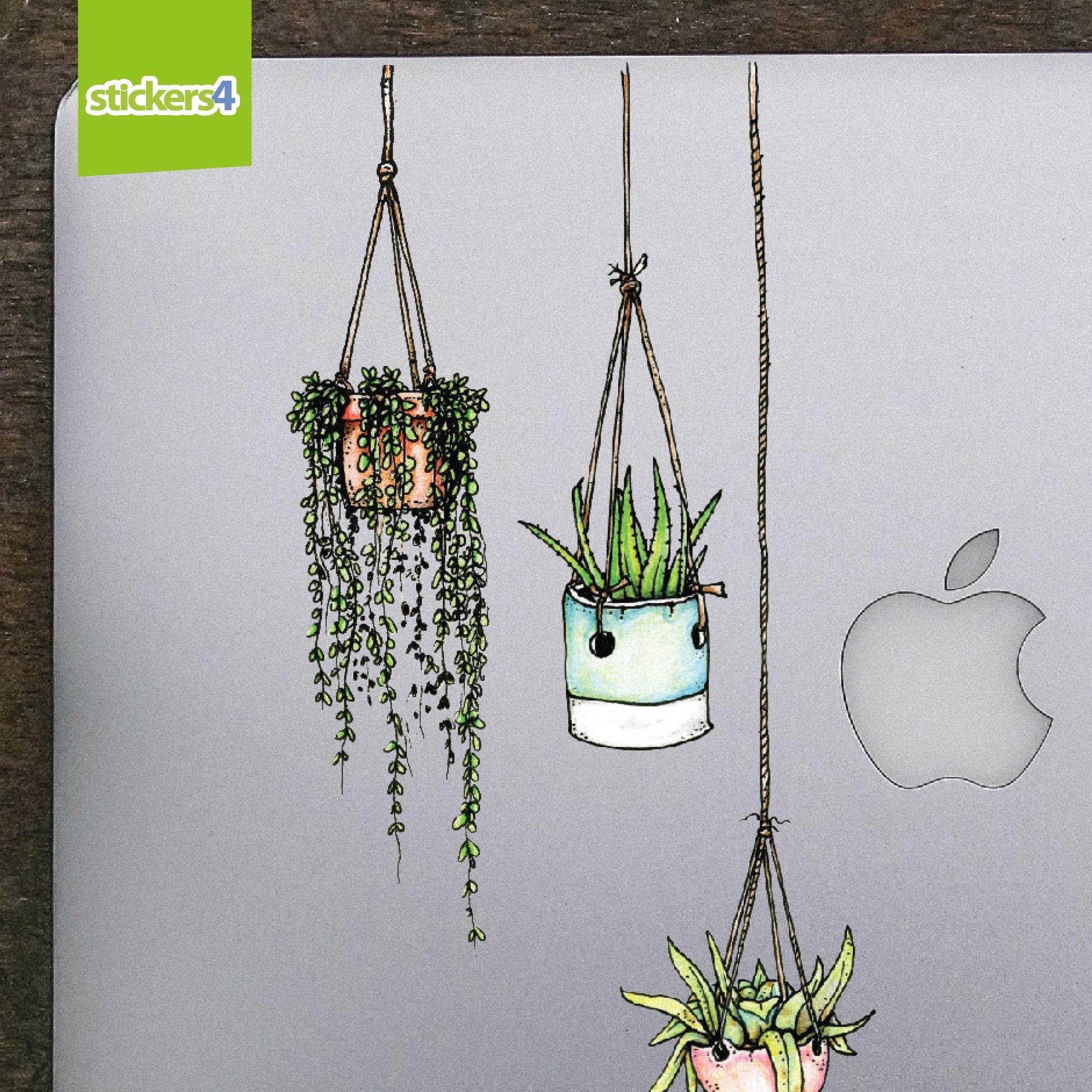 Set of 5 Illustrated Hanging Plant Laptop Stickers Laptop Sticker